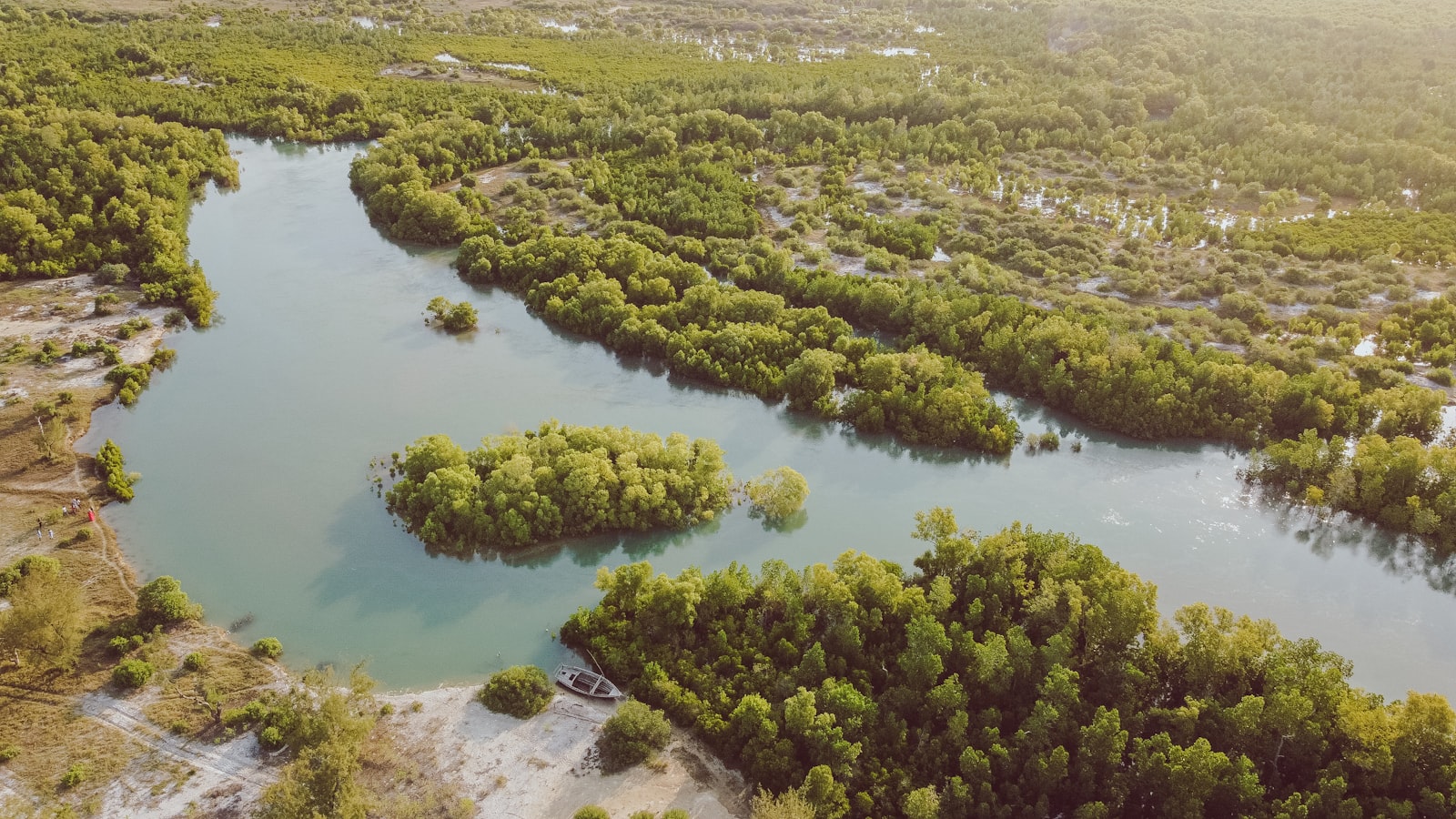 Aerial view of a river winding through a mangrove forest